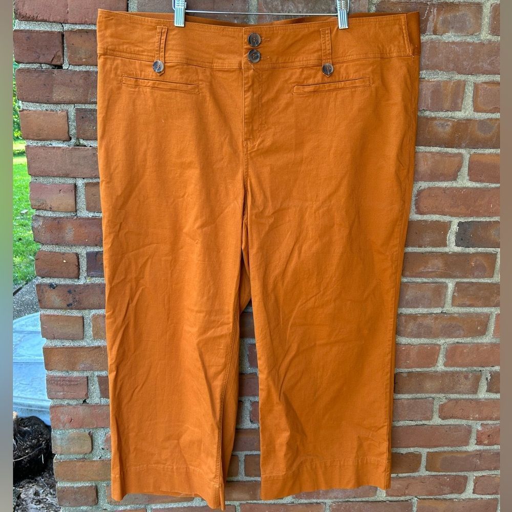 A Beautiful Soul Burnt Orange Cotton Wide Leg Cropped Pants